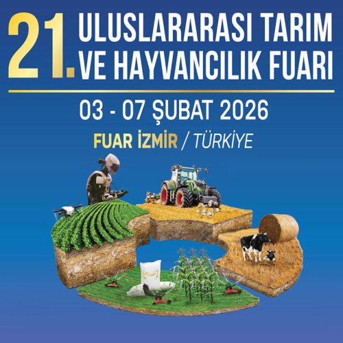 service-agricultural-exhibition---1765894899542288967_big--22121215053986932700